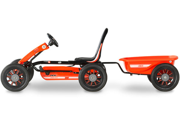 Inclusief bevestiginspin